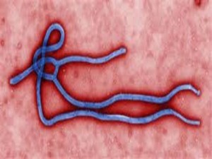 Ebola Inq file