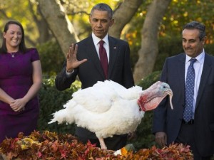obama turkey-AP-Obama