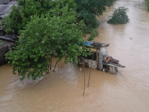 San Vicente NE Erwin 3