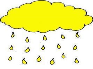 Yellow Rainfall Warning