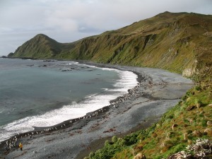 Macquarie Island