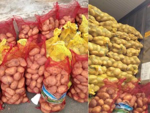 Smuggled Patatas | BOC Photos