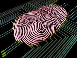 fingerprint