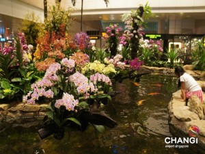 changi-airport