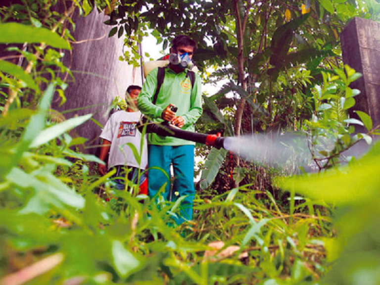 DOH, nagbabala sa paglobo ng kaso ng dengue ngayong tag-ulan | DZIQ