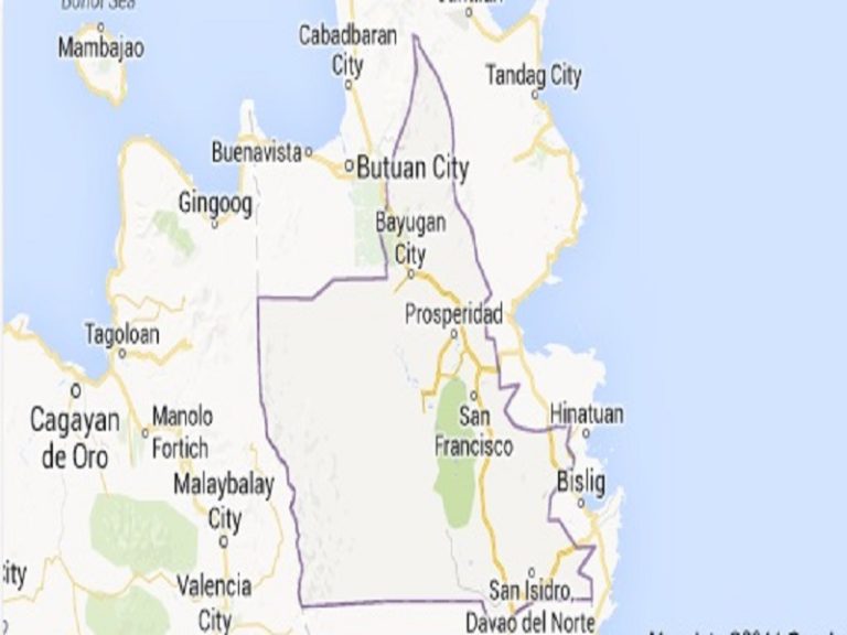 Agusan Del Sur Map 768x576 