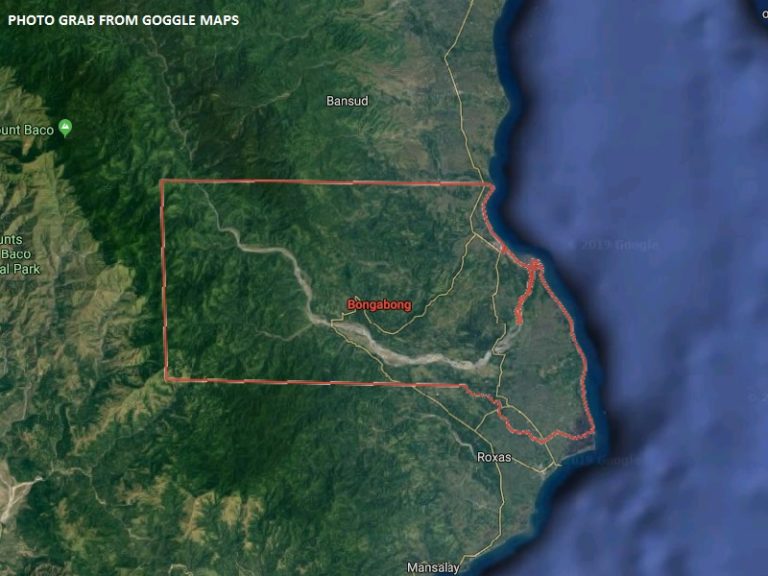 1 Patay 7 Kritikal Sa Aksidente Sa Oriental Mindoro DZIQ Radyo   Bongabong Oriental Mindoro Map 768x576 