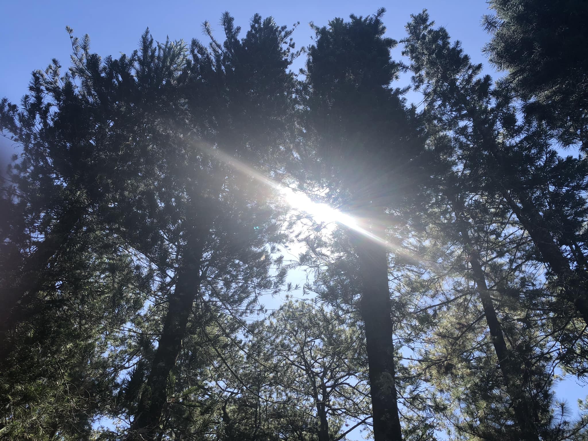 Panahon Ng Tag init Posibleng Mag umpisa Ngayon Linggo DZIQ Radyo 