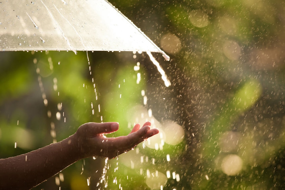 PHOTO: Stock image of hand stretched out in rain with background of green leaves