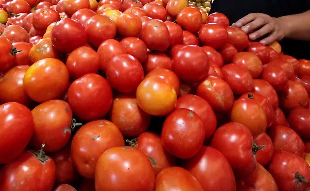 PHOTO: Tomatoes closeup FOR STORY: Suplay ng kamatis kinapos kayat mataas ang presyo - DA